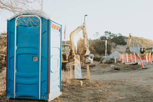 Best Sanitation services for porta potties  in Western Springs, IL